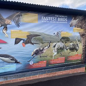 Information signage 241023