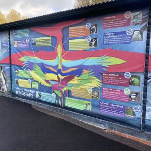 Information signage 241023