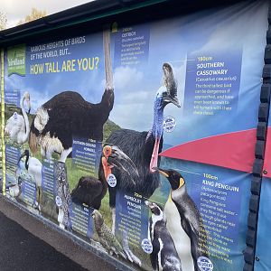 Information signage 241023