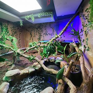 Popcorn Park Zoo - Boa Constrictor enclosure
