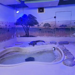 Popcorn Park Zoo - Spectacled Caiman enclosure