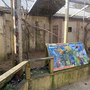 Mixed parrot aviary 241023