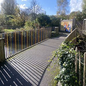Bridge walkway towards Out of Africa 241023