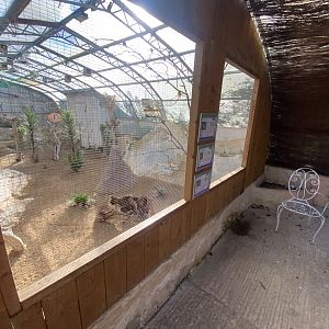Desert House aviary 241023