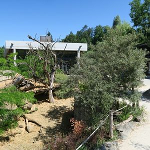 Savanna House - meerkats and spurred tortoise