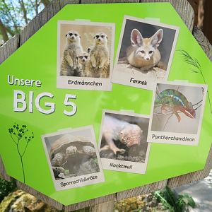 Savanna House - Big 5 of Walterzoo