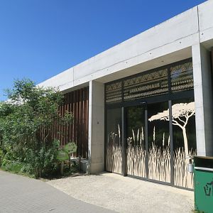 Savanna House - entry