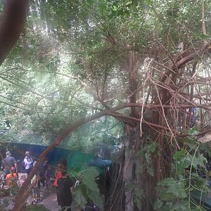 [2019] View inside Rio Negro