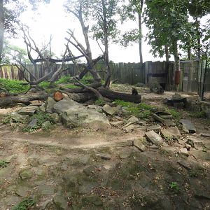 [2019] Wolverine enclosure