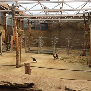 [2019] Giraffe indoor enclosure