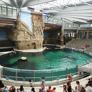 [2019] Dolphin enclosure