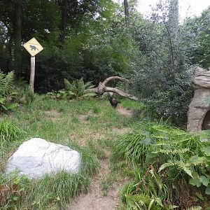 [2019] Tasmanian devil enclosure