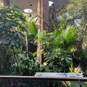 Tropic Zone - Aviary