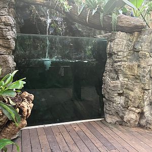 Tropic Zone - Red-Bellied Piranha Tank