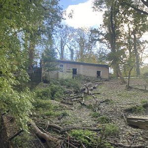 Bear Wood - European brown bear enclosure 051123