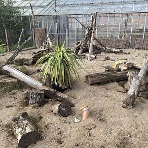 Meerkat enclosure 051123