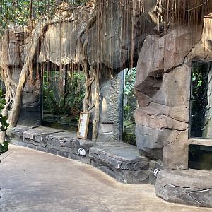 Monsoon Forest exhibits 241123