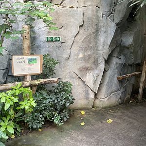 Monsoon Forest - entrance to False gharials 241123