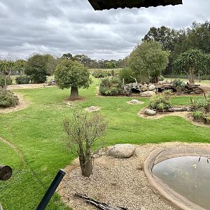 African Wild Dog Exhibit (Viewing Platform)
