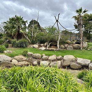 Vervet Monkey Exhibit