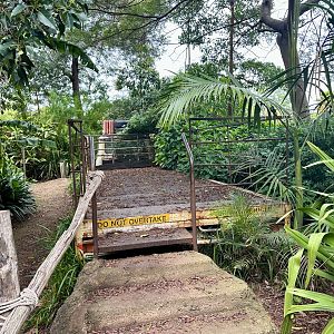 Gorilla Exhibit Viewing Platform