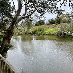 Werribee River Trail
