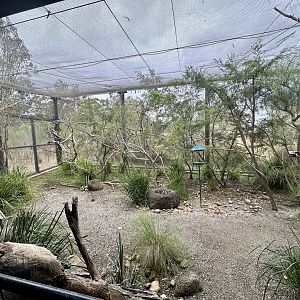 Orange-bellied Parrot Aviary
