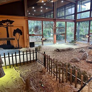 Leopard Tortoise Indoor Exhibit