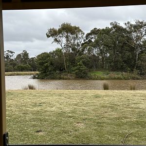 Island (Safari Tour)