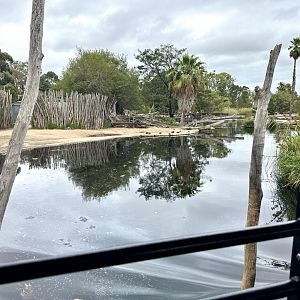 Third Hippopotamus Exhibit