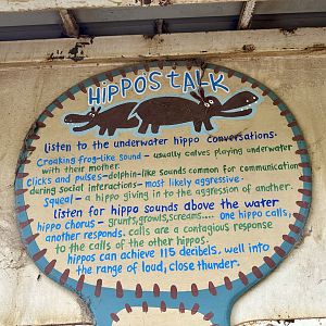 Hippo Vocalisations