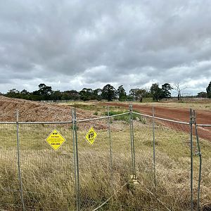 Elephant Complex Construction