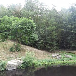 [2019] Tiger enclosure