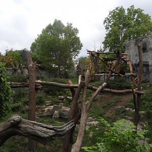 [2019] Andean bear enclosure
