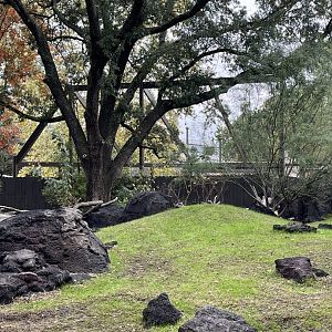 Birds of the World construction