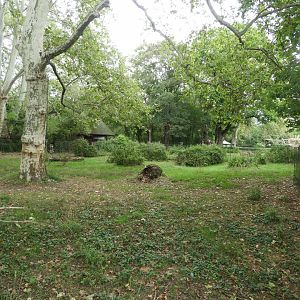 [2019] Okapi enclosure