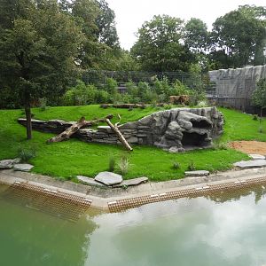 [2019] Lion enclosure