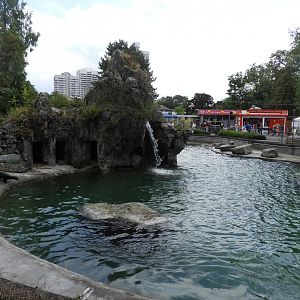 [2019] Sea lion enclosure