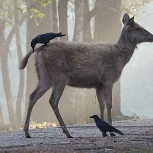 Getting youre behind checked