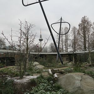 Inside the bird tent