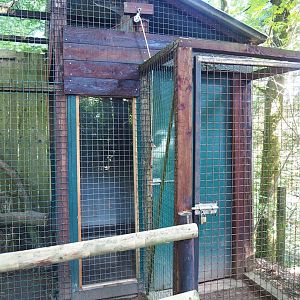 Helmeted curassow indoor housing, 2023-06-24
