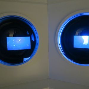 Under water world - deep sea expierence