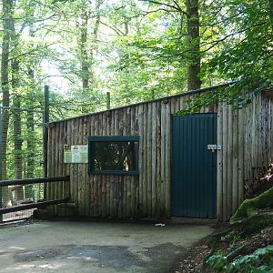 Chinese Dhole barn, 2023-06-24