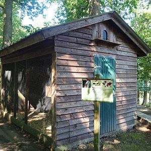 Barn owl aviary, 2023-06-24