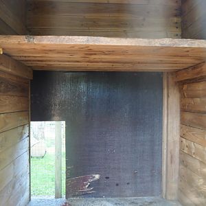 Interior of Eurasian lynx barn, 2023-06-24