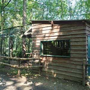 Northern Raccoon barn, 2023-06-24