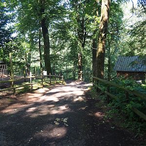 Dead-end walkway with view of Cameroon sheep, Himalayan tahr, Siberian ibex and American beaver exhibits, 2023-06-24