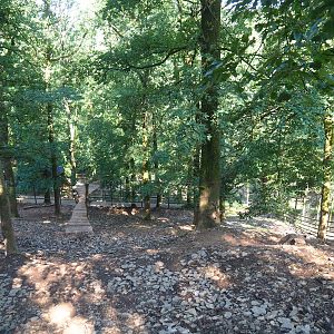 Himalayan tahr exhibit, 2023-06-24