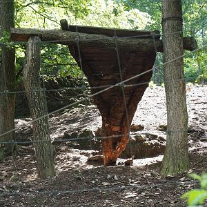 Siberian ibex climbing structure, 2023-06-24