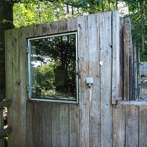 American beaver den, 2023-06-24